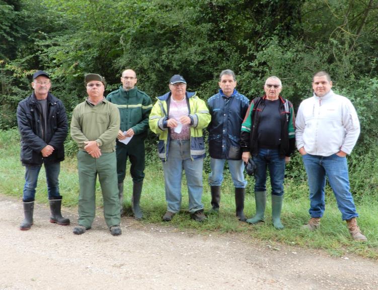 Affouage : Comptage Des Stères De Bois Sur La Campagne 2019/2020 ...